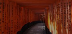 3 day travel itinerary in Kyoto