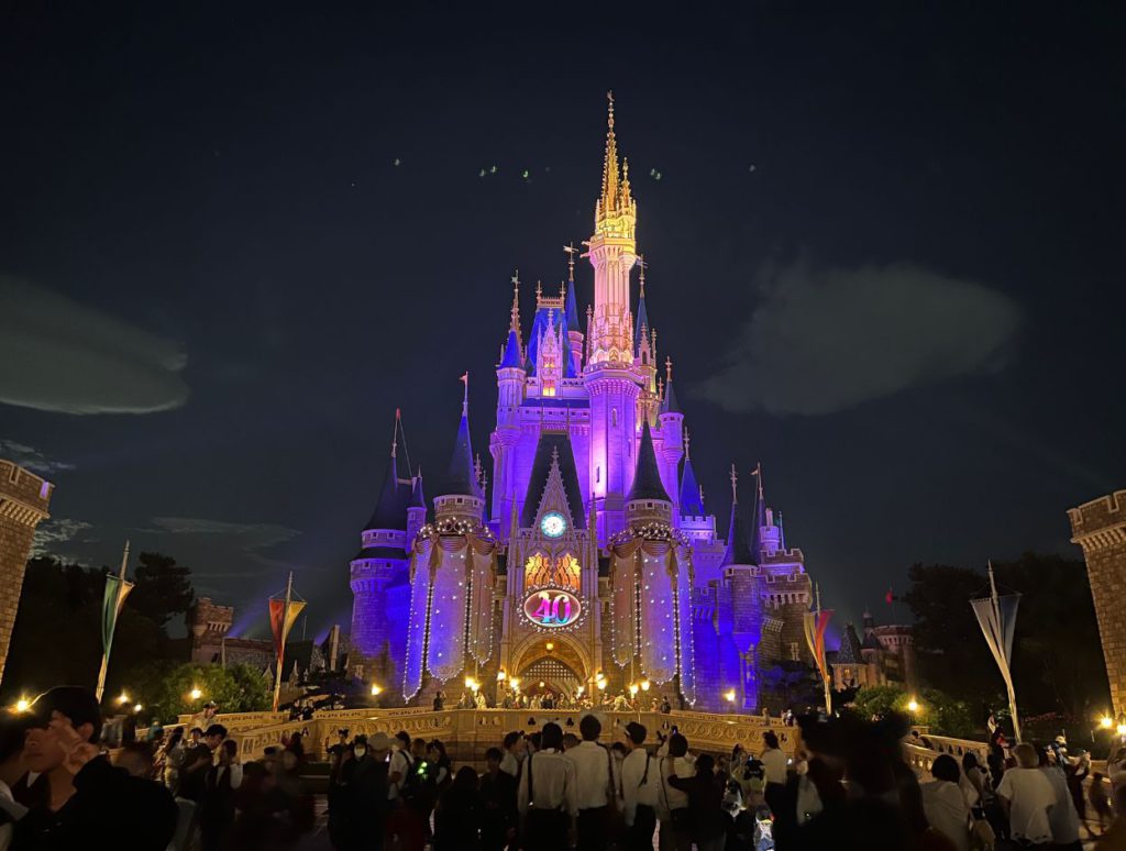 Disneyland at night