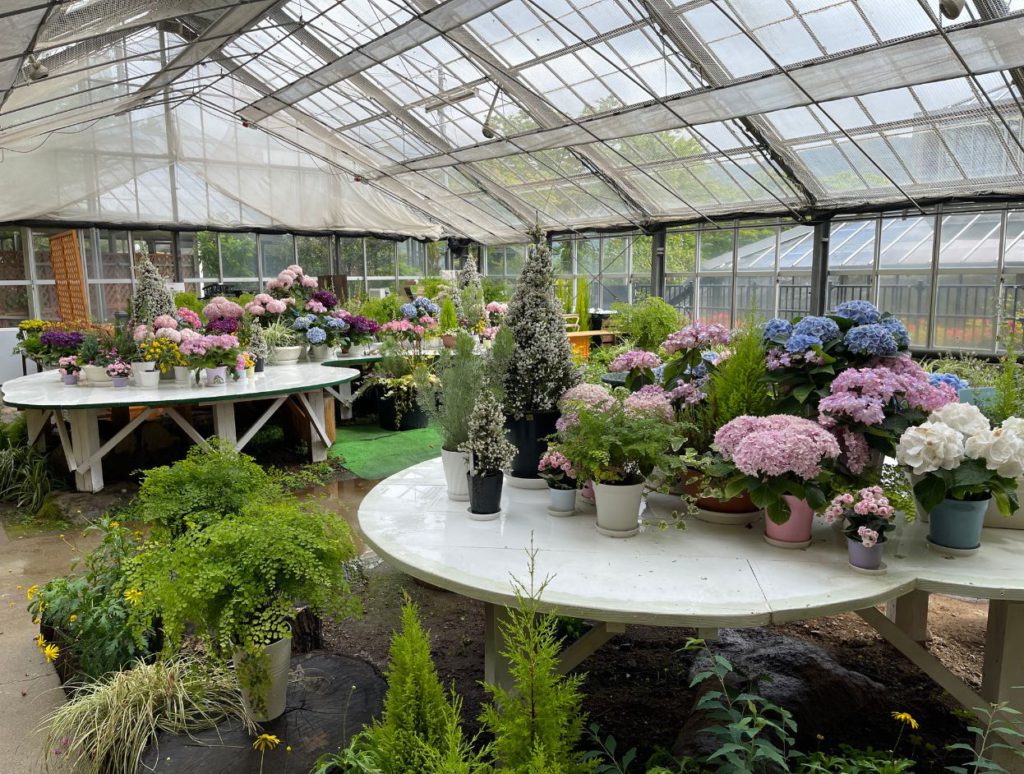 Glasshouses inside Hakone Gora Park