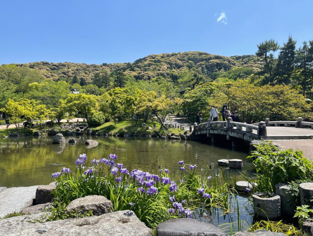 Maruyama Park in Spring