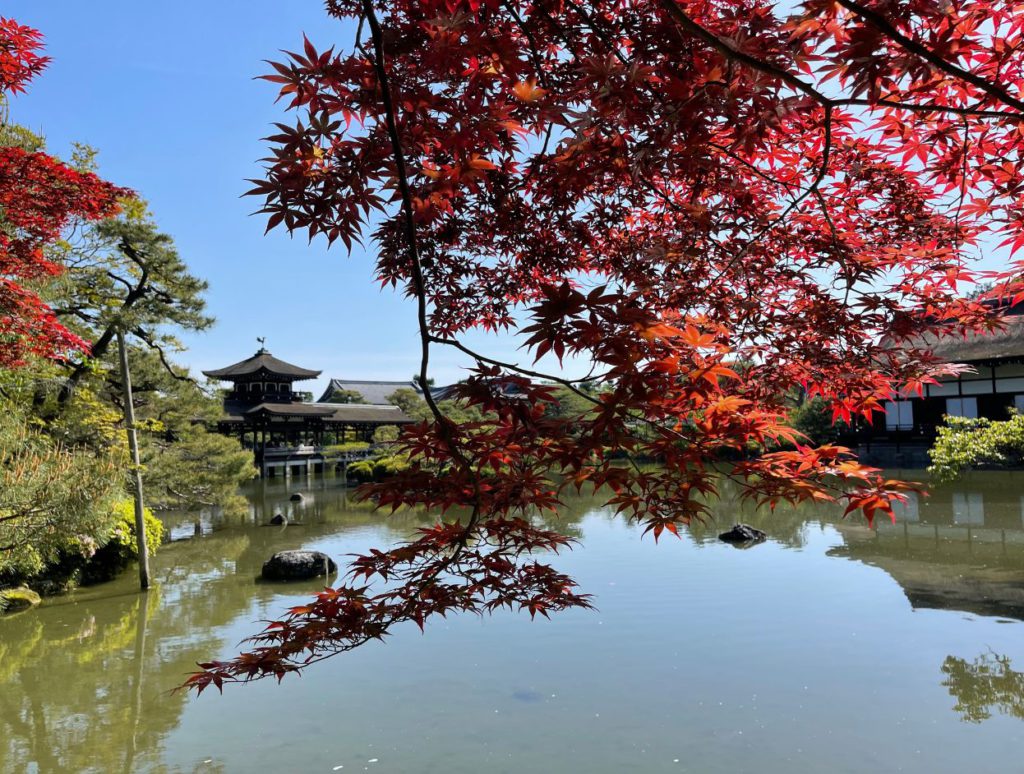 The gardens behind Heian Jingu_2