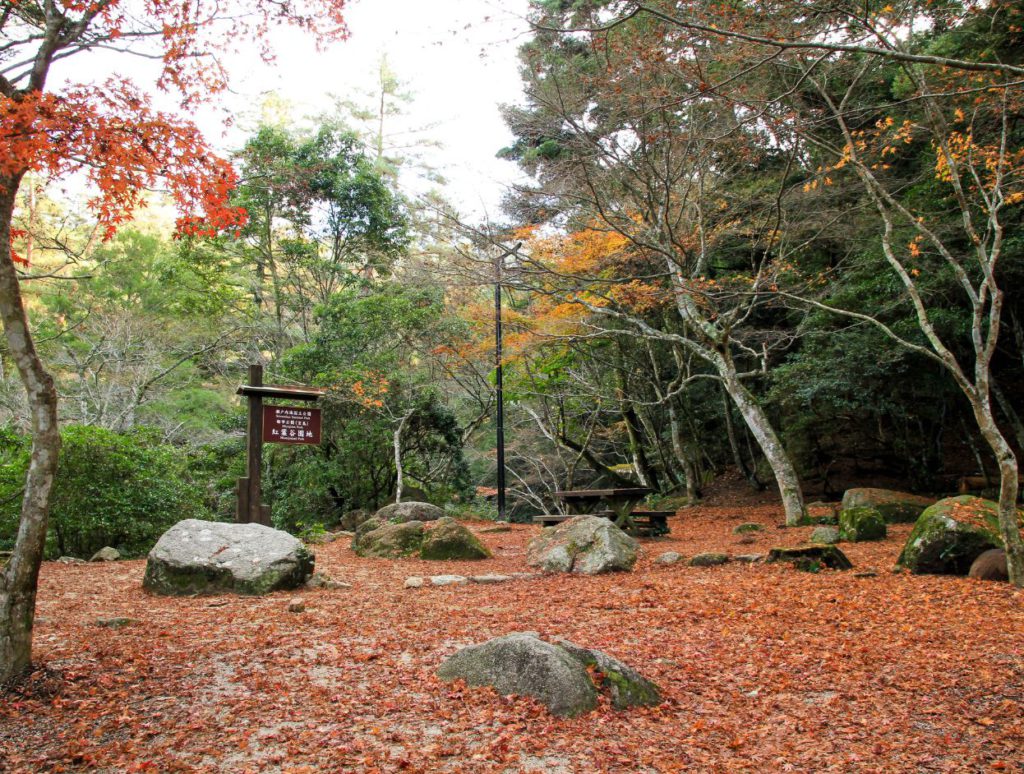 Autumn in Momijidani Park