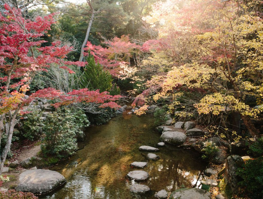 Momijidani Park