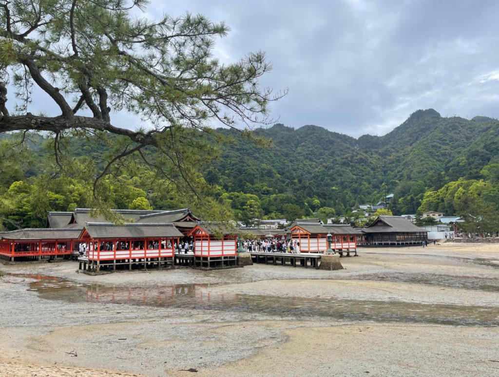 Walking towards the shrine