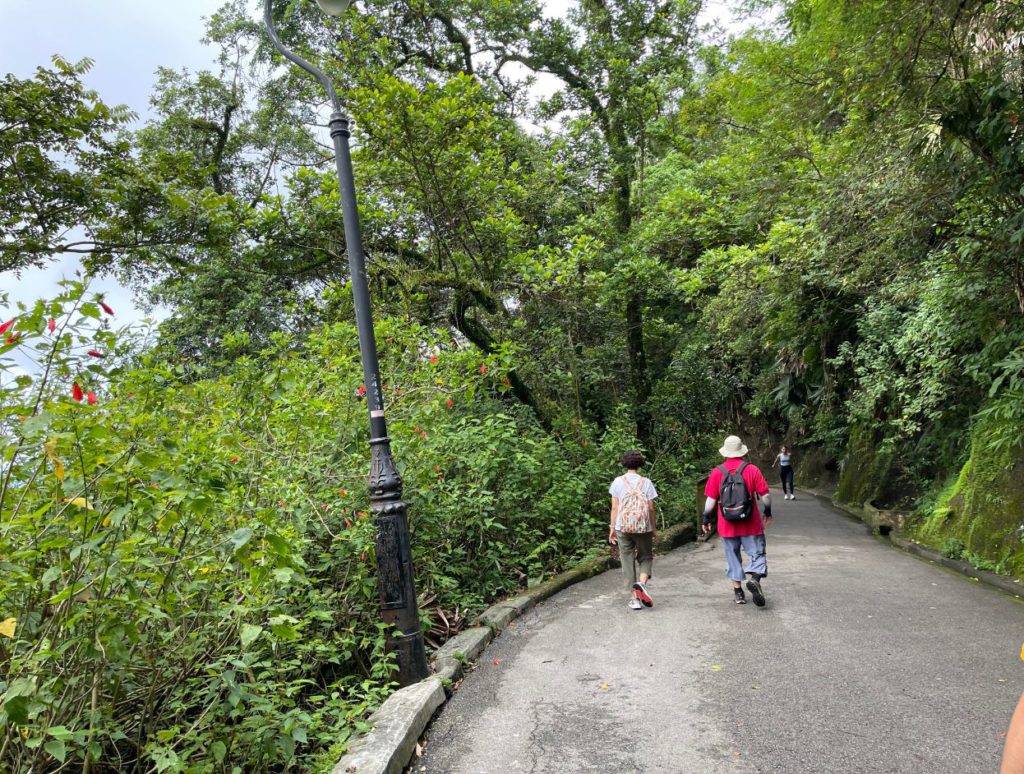 Harlech Road on The Peak Circle