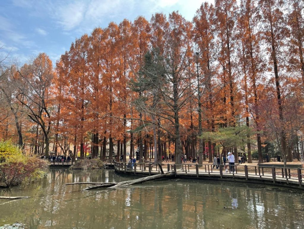 Autumn trees at Nami island