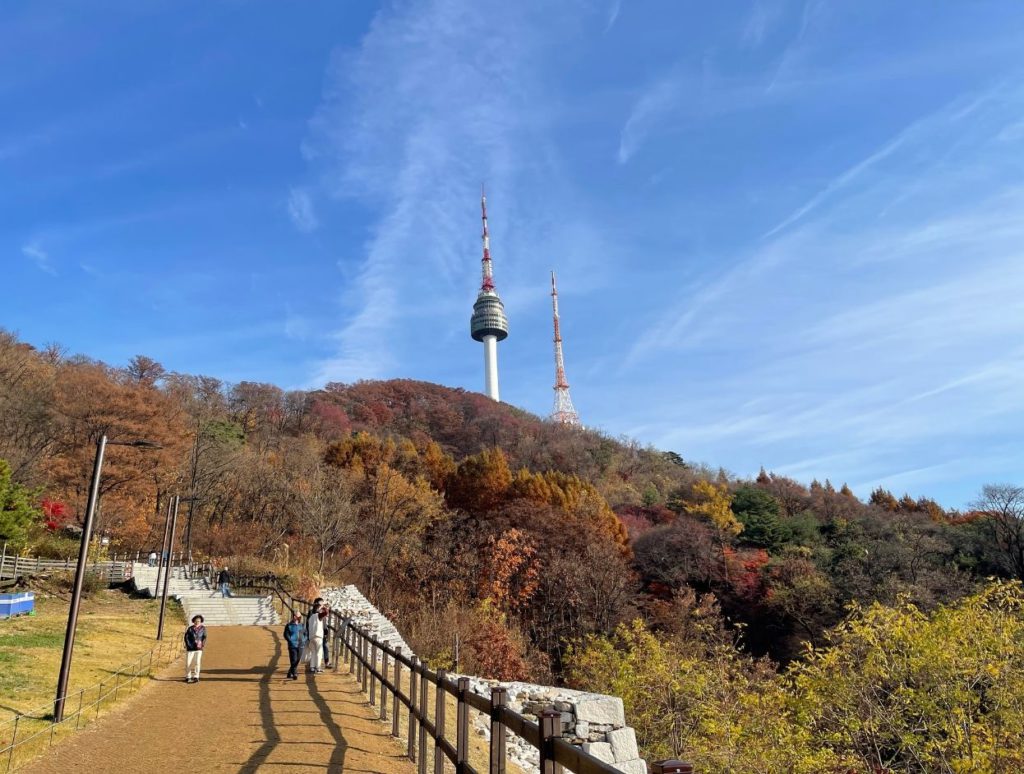 N Seoul Tower view from Namsan Park