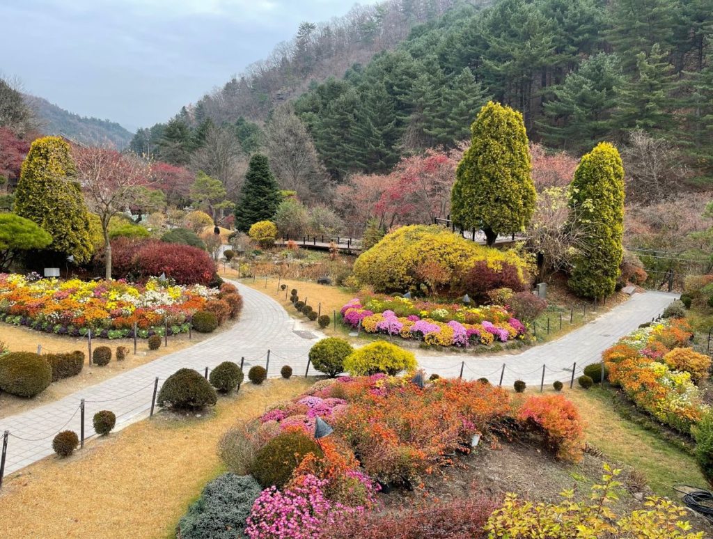 The Garden of Morning Calm during autumn