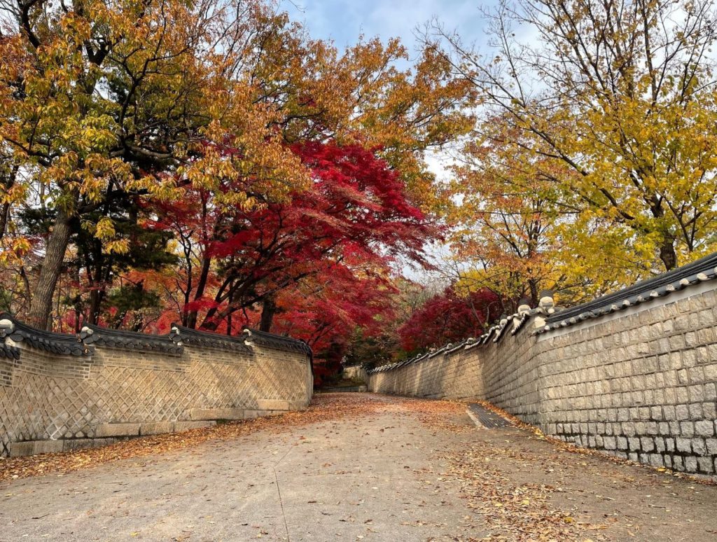 Walking towards the hidden garden behind Changdeogung Palace