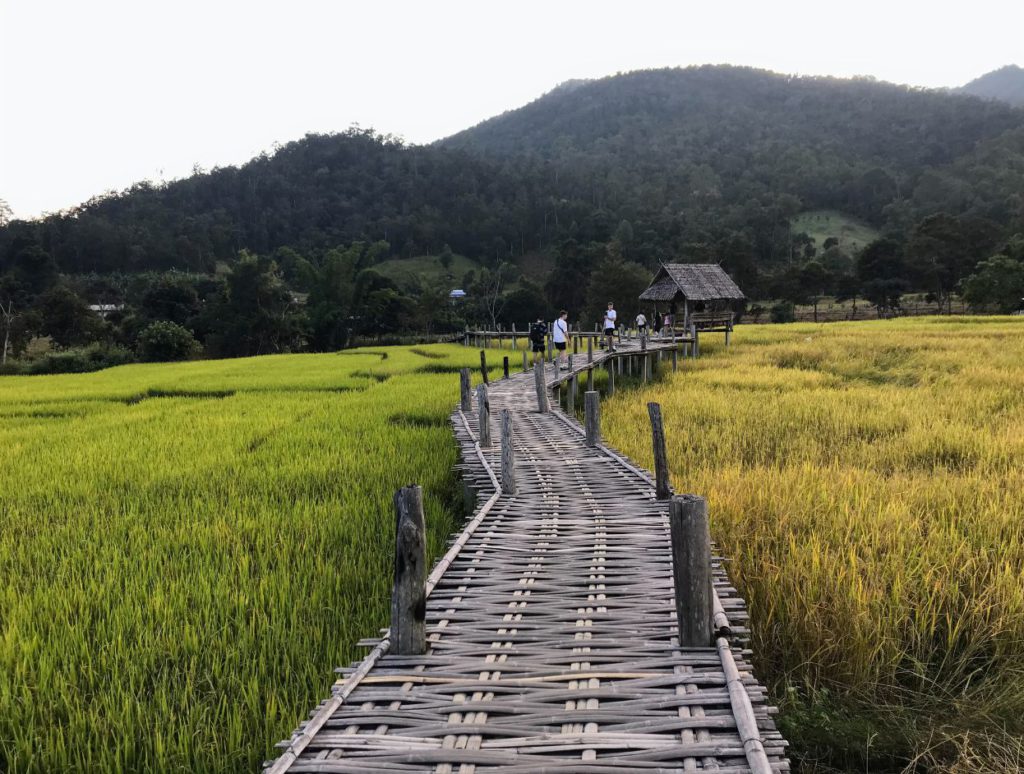 Bamboo Bridge, Pai