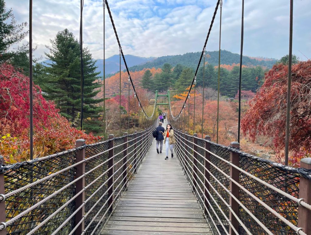 A suspension bridge inside the garden