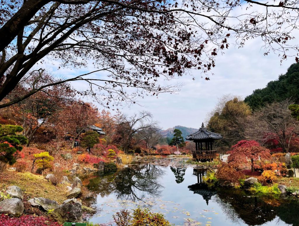 Pond Garden with a Korean Gazebo