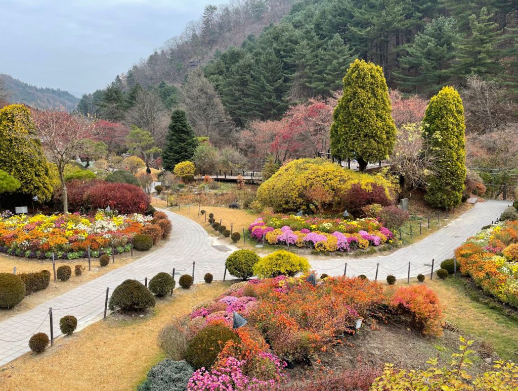 The beautiful Garden of Morning Calm