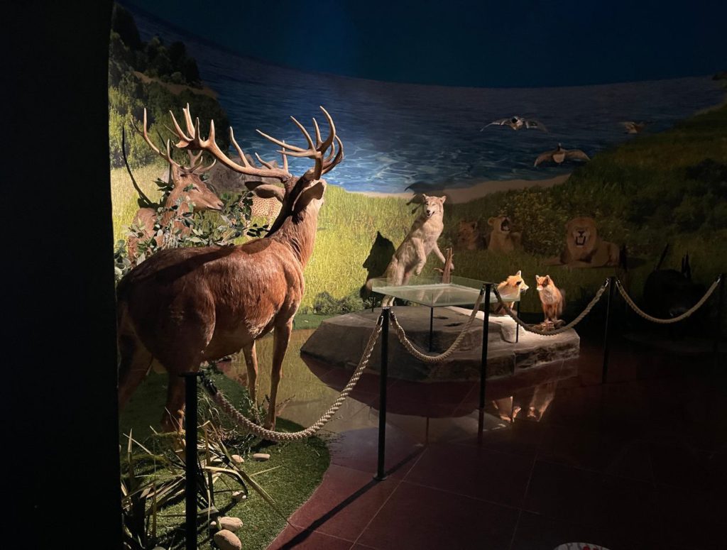 3D depiction of natural wildlife in the area