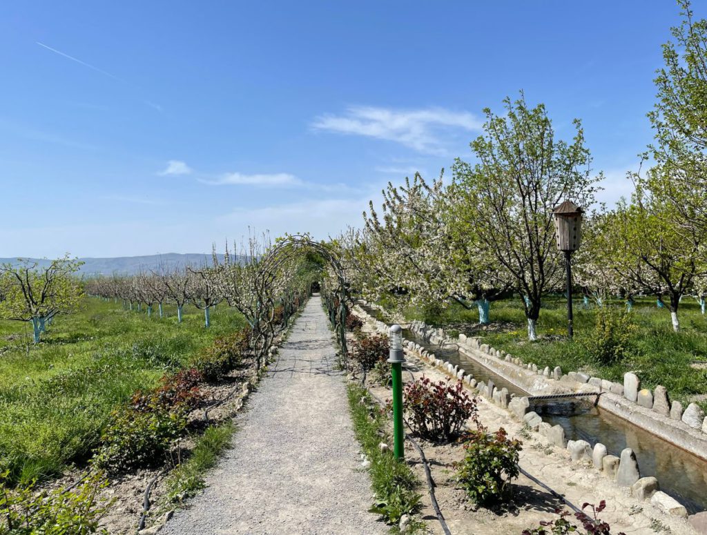 Bio Garden Sheki