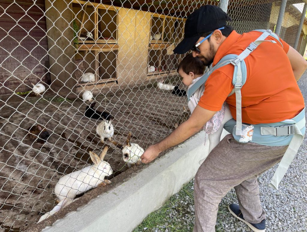 Feeding the rabbits at the Bio Garden