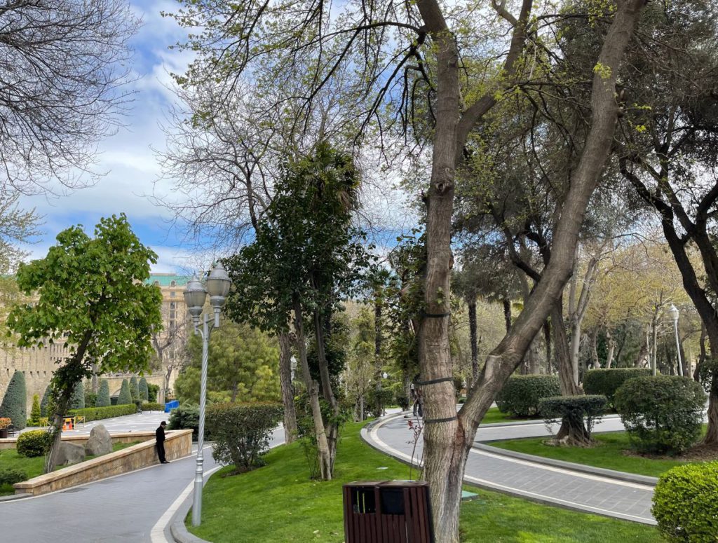 Pavement and walkable areas inside the garden