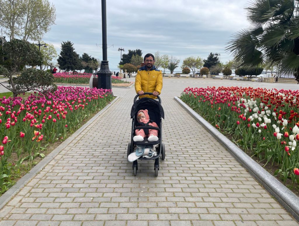 Tulip Garden on Baku Boulevard