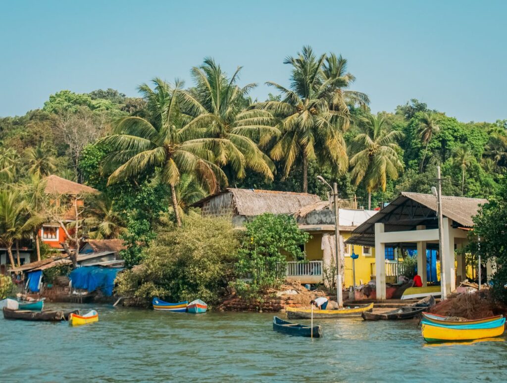 Local Goan Village