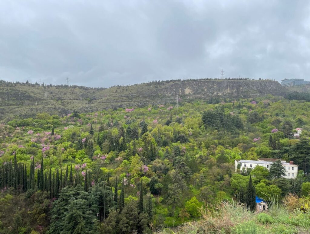 View of Botanical Garden from top View of Botanical Garden from top