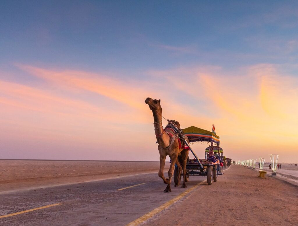 Kutch Road Trip