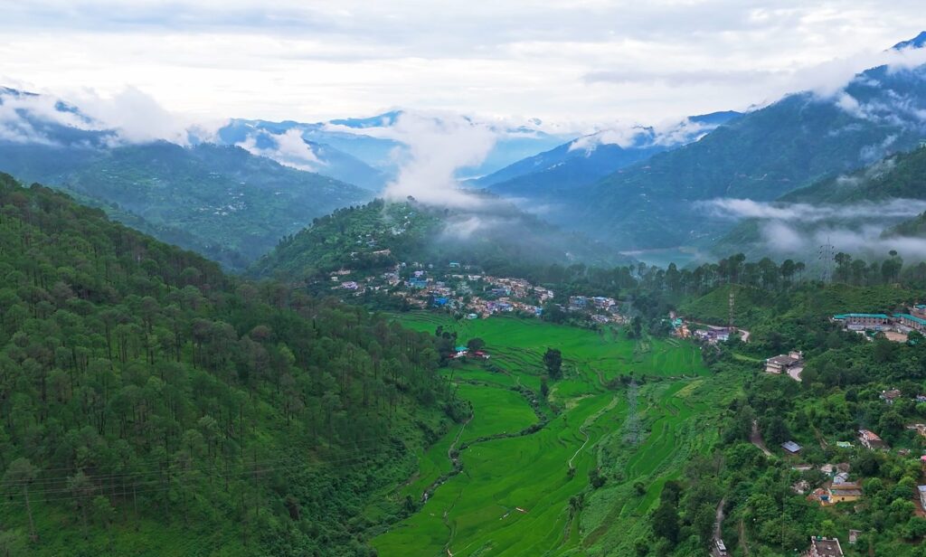Chopta valley Chopta valley